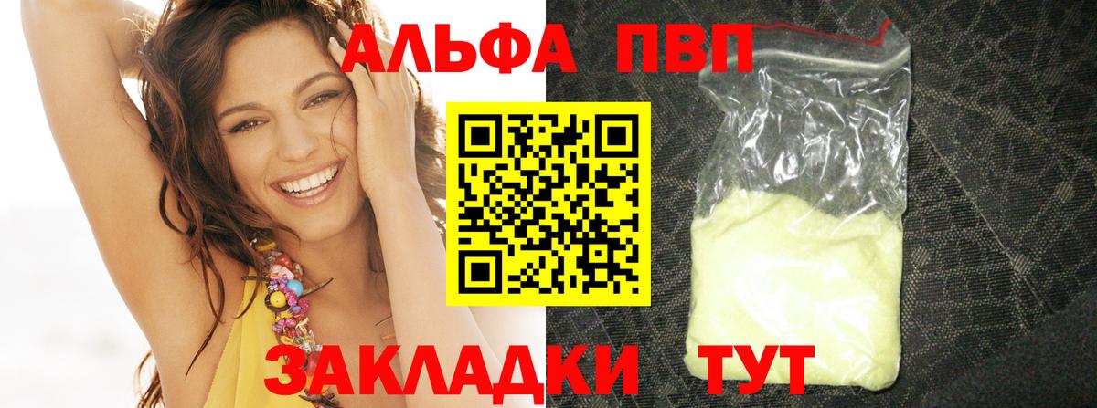 Alfa_PVP СК КРИС Сыктывкар