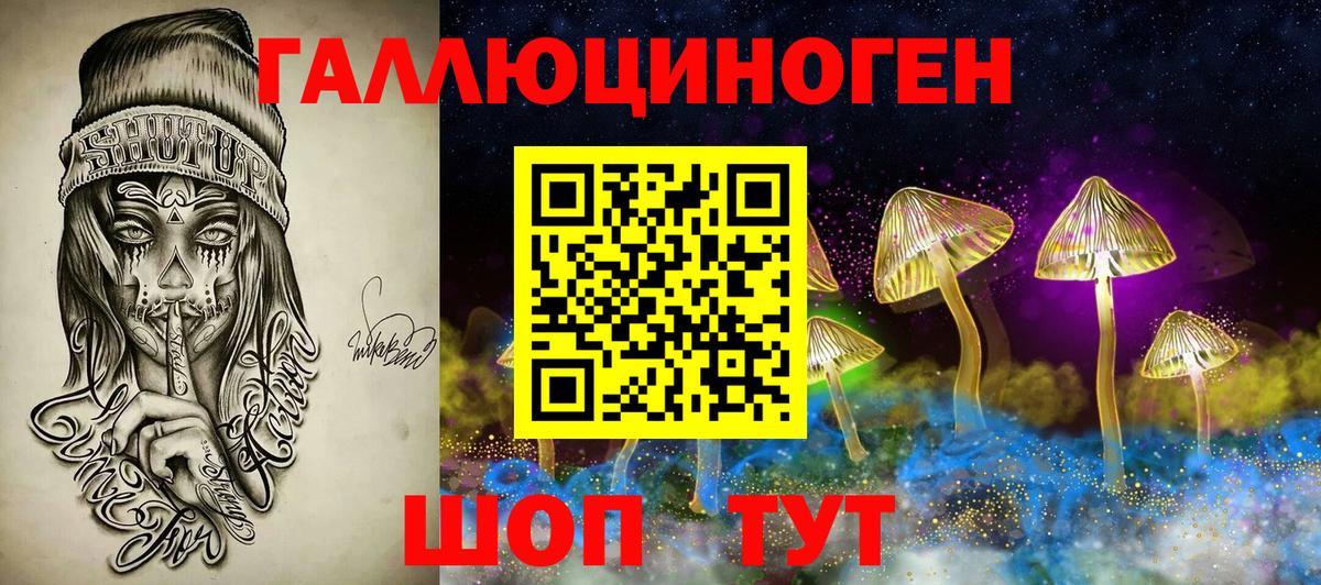 Псилоцибиновые грибы Psilocybine cubensis Сыктывкар