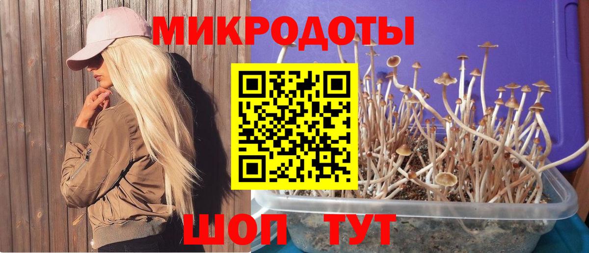 как найти закладки  Вход с VPN  Псилоцибиновые грибы GOLDEN TEACHER  Сыктывкар  Галлюциногенные грибы ЛСД 
