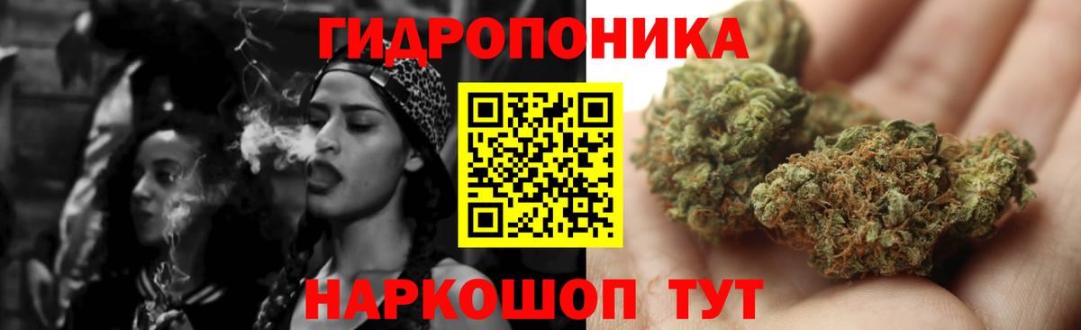 Шишки марихуана THC 21%  Сыктывкар  Конопля ГИДРОПОН  МАРИХУАНА SATIVA & INDICA 